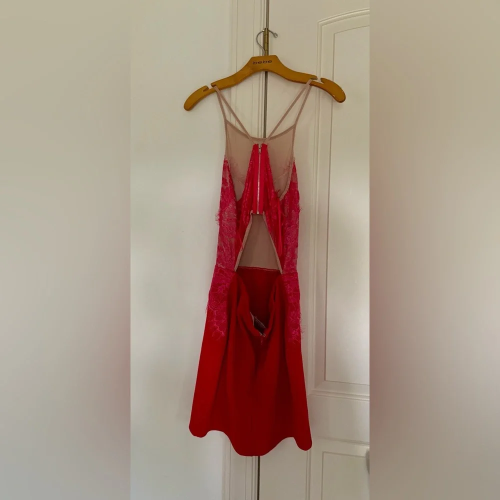 NWT Luxxel Red and Pink romantic lace Dress size L - Picture 5 of 7